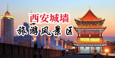 男人鸡巴动态图中国陕西-西安城墙旅游风景区